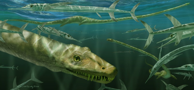 Reconstrução da aparência do Dinocephalosaurus orientalis 