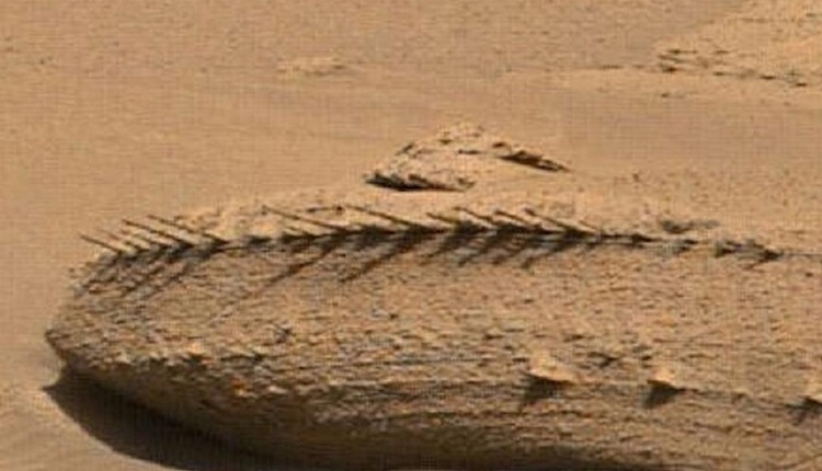 Marcas no solo de Marte