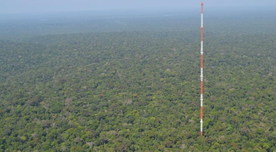 Observatório da Torre Alta da Amazônia
