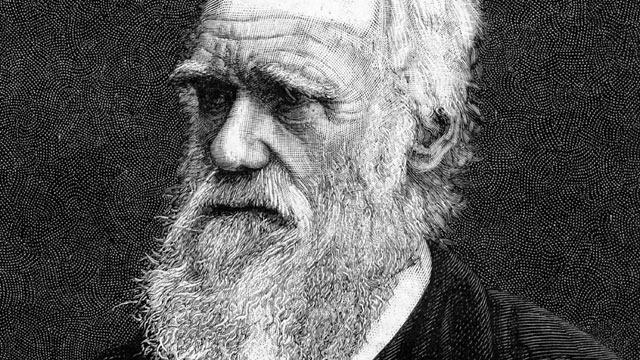Nasce o naturalista Charles Darwin, autor de A Origem das espécies-0