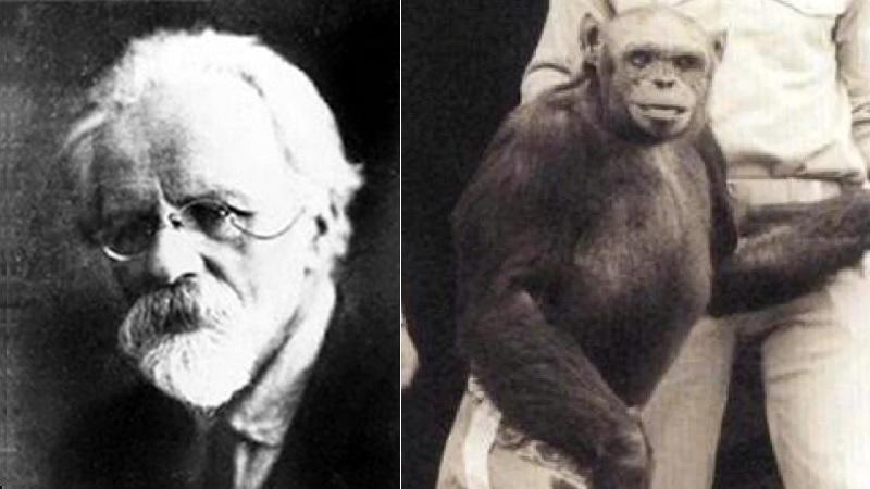 Cientista soviético tentou criar híbridos entre humanos e chimpanzés-0