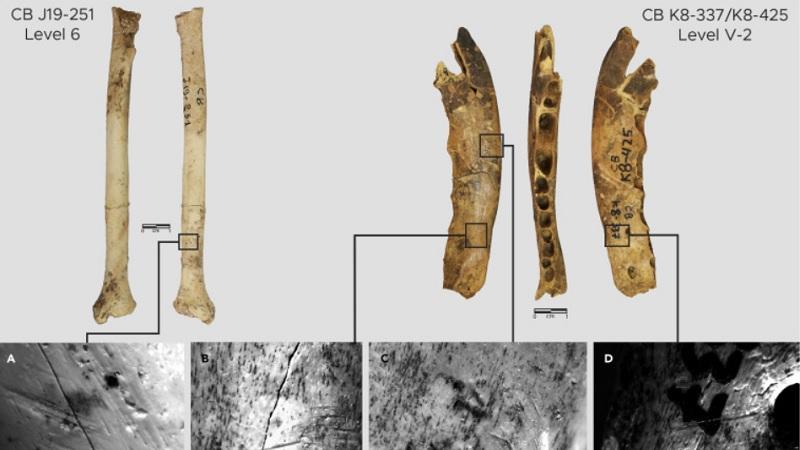 Moda de 120 mil anos: encontradas evidências mais antigas de fabricação de roupas-0