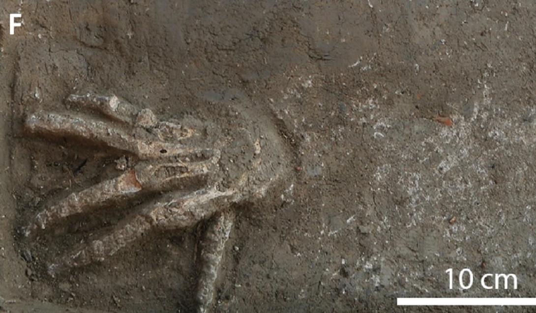 Arqueólogos encontram 12 mãos decepadas em palácio do Antigo Egito-0
