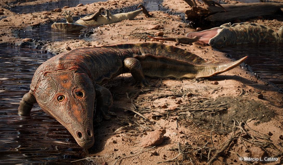 Fóssil de um carnívoro mais antigo que os dinossauros é encontrado no Brasil-0
