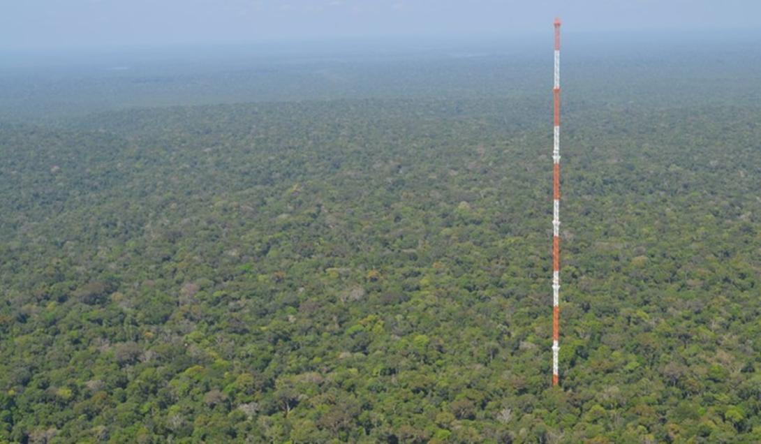Torre mais alta da América Latina fica no meio da Amazônia-0