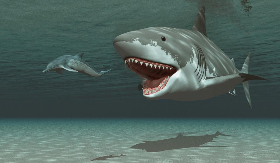 Megalodonte: um novo estudo revela a verdadeira forma do mítico tubarão pré-histórico-0