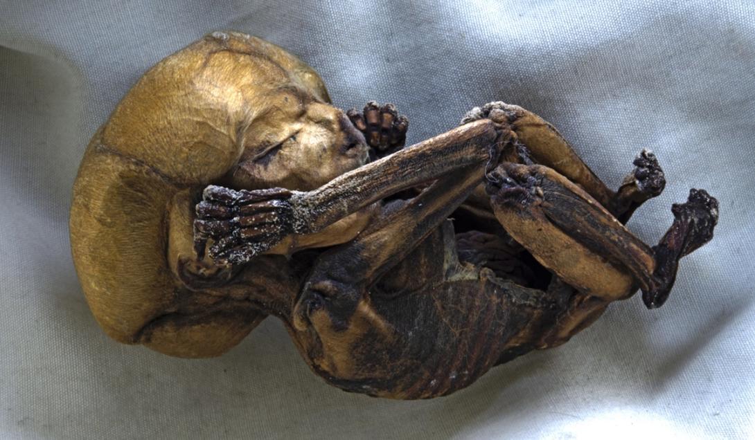 O  mistério do povoado da Colômbia onde os mortos se mumificam naturalmente-0